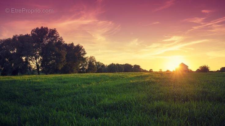 Terrain à MANTHELAN