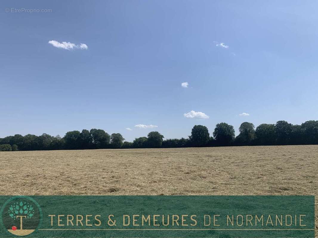 Dans le CALVADOS, région FALAISE, propriété agricole de 34 ha en herbage d'un seul tenant - photo 16
