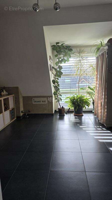 Maison à ROGGENHOUSE