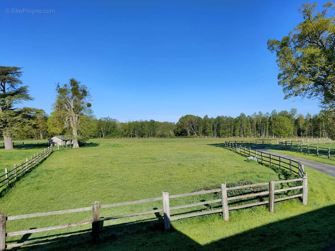 Propriété équestre avec 13 hectares - photo 28