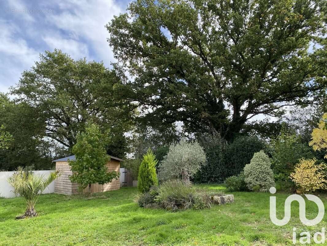 Photo 2 - Maison à CHOLET