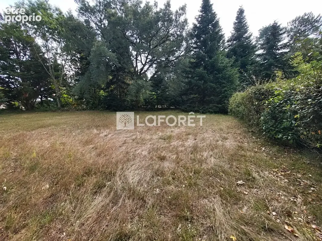 Terrain LIT-ET-MIXE à vendre - photo 2