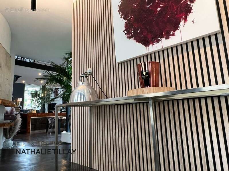 Orleans hyper centre, appartement loft à vendre, avec patio, terrasse  de 150 M²? salle de sport, garage - photo 12