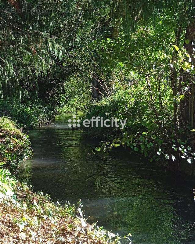 Maison à MAUVES-SUR-HUISNE