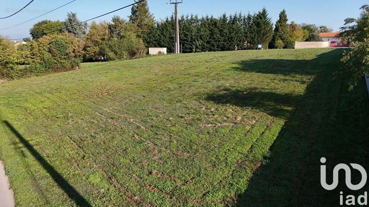 Photo 5 - Terrain à CHATEAUNEUF-SUR-CHARENTE