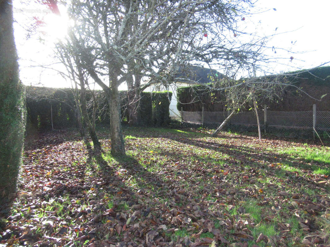 Maison à LA SAUVAGERE