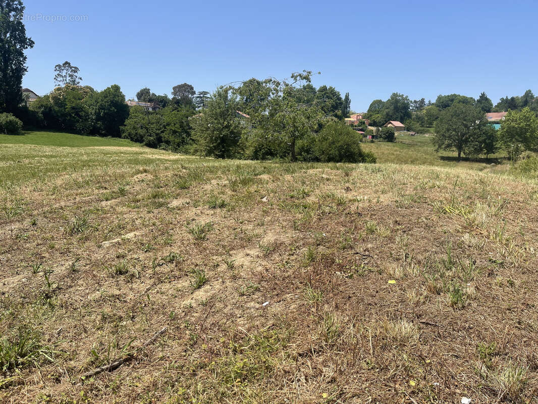 Terrain à SALIES-DE-BEARN