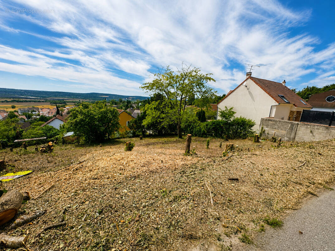 Terrain à CHANTELOUP-LES-VIGNES