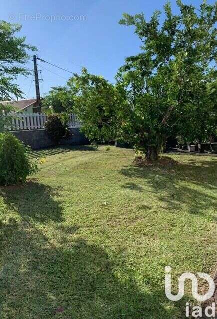 Photo 4 - Maison à SAINT-ANDRE