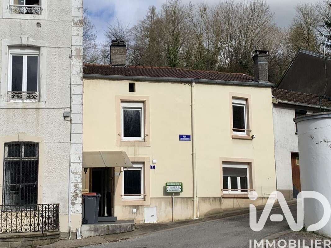 Photo 2 - Maison à BOURBONNE-LES-BAINS