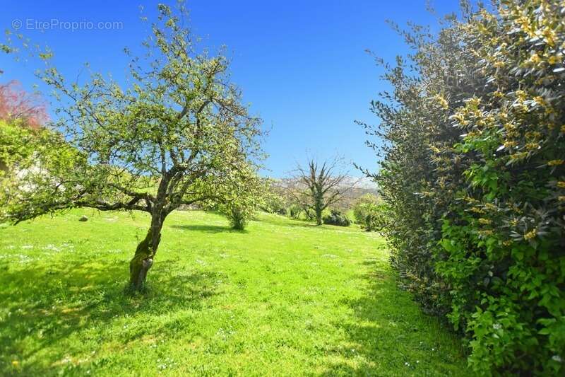 Maison à SAINT-JEAN-DE-TREZY