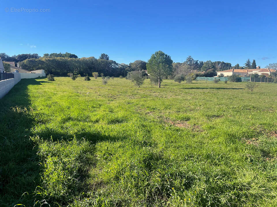 Terrain à CANET