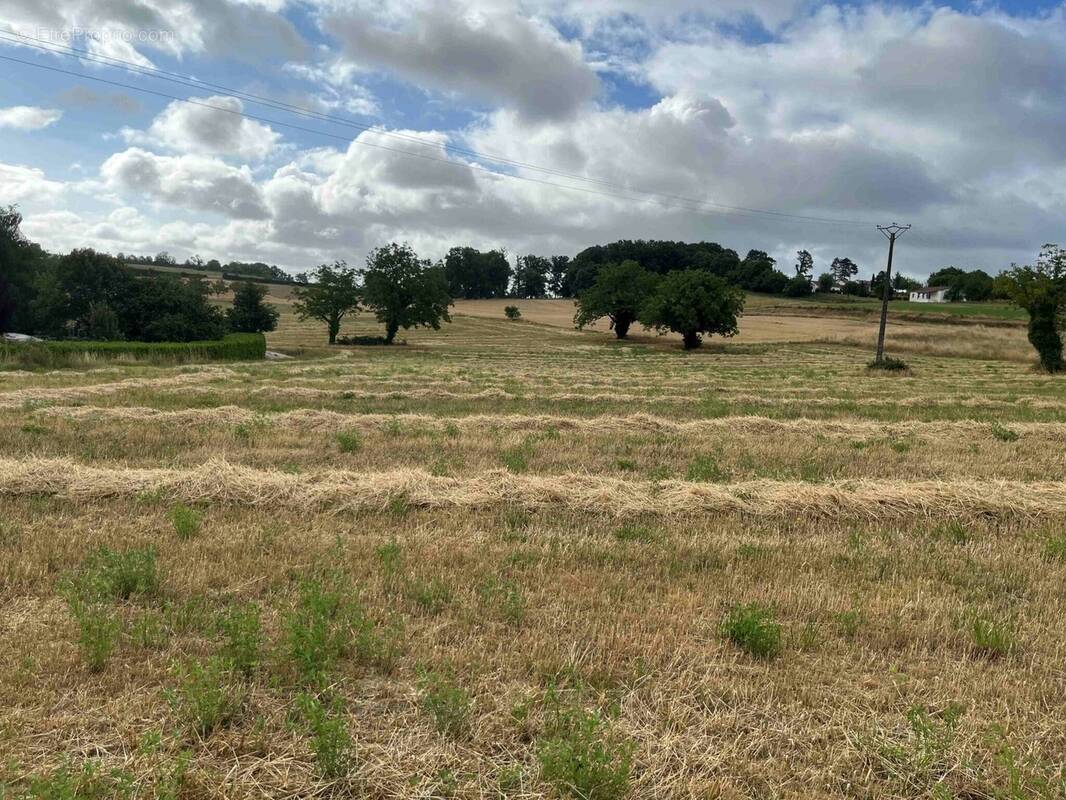 Terrain à CAHORS
