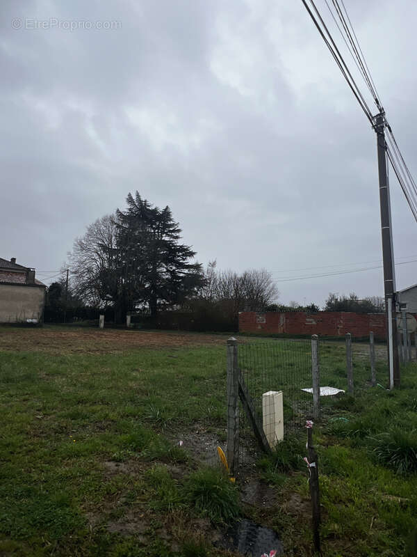 Terrain à SAINT-MAIXANT