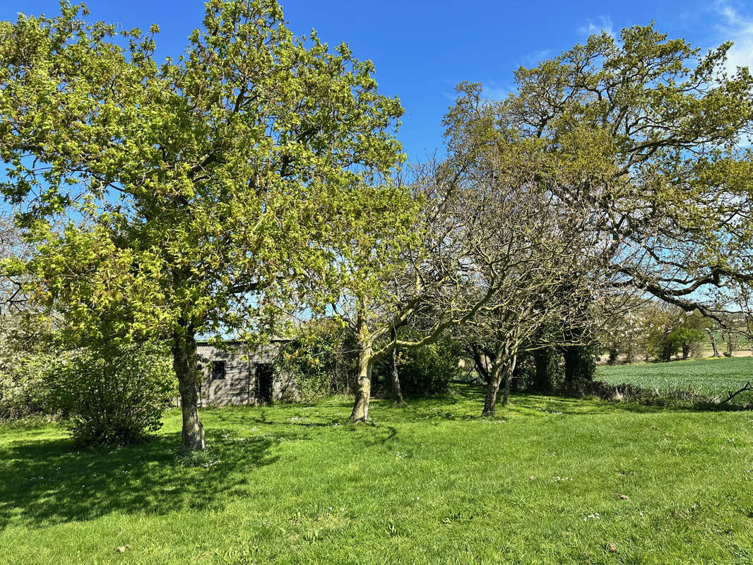 Maison à HENANBIHEN