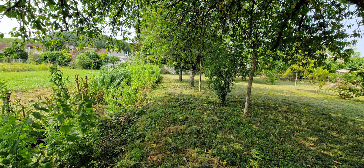 Terrain à CHAMPIGNY-SUR-VEUDE