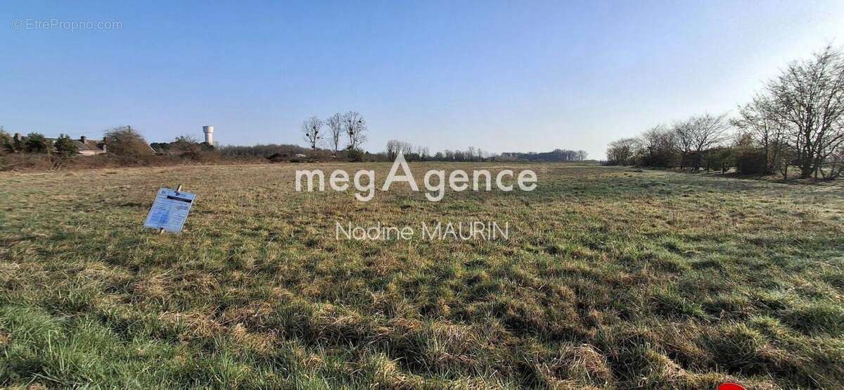 Terrain à SOINGS-EN-SOLOGNE