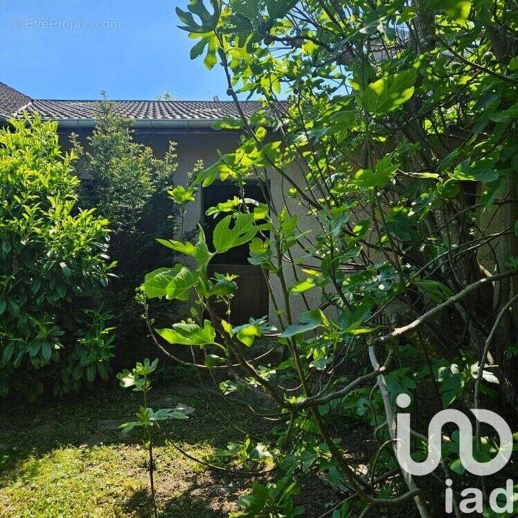 Photo 3 - Terrain à RIS-ORANGIS