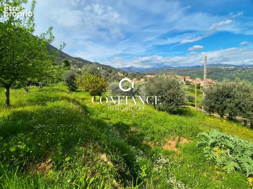 Terrain 1 715 m² à vendre à Chateauneuf-Villevieille (06390) - photo 4