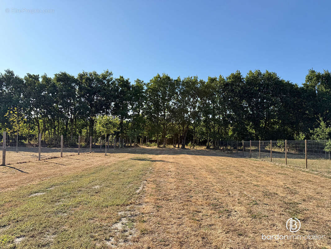 Maison de 2023  - 95 m² - 1 400 m² de terrain - photo 12