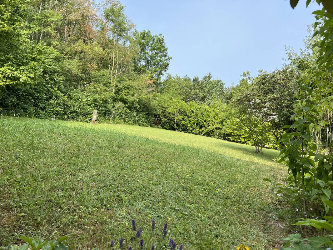 Terrain à VETRAZ-MONTHOUX