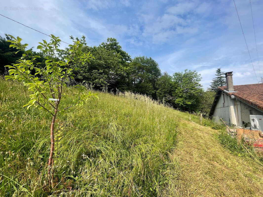 Maison à SAINT-AMANS-VALTORET