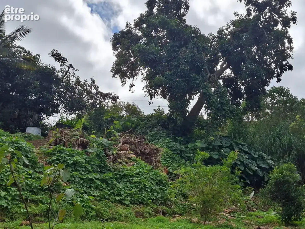 A vendre Terrain constructible 700 M2 Petit Tampon (Le Tampon) - photo 2