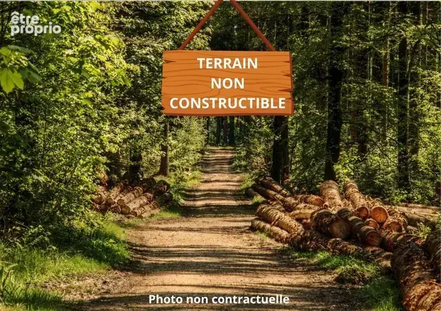 Terrain à BUSSAC-FORET