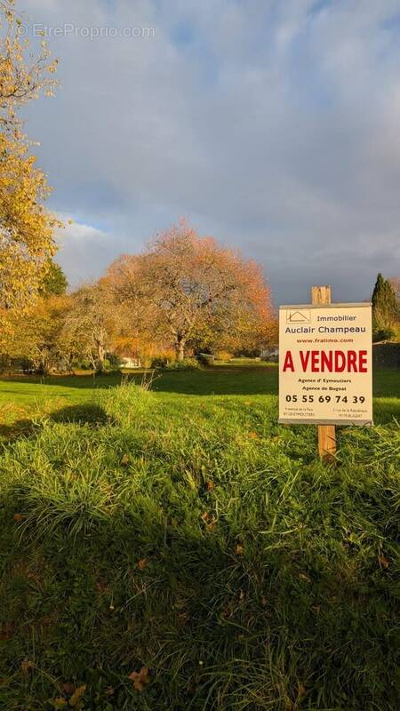 Terrain à CHATEAUNEUF-LA-FORET