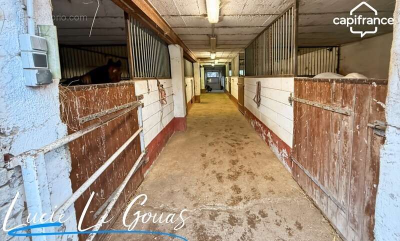 Ferme équestre - photo 27