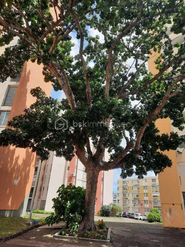 T3 – Centre-ville de Pointe-à-Pitre - photo 19
