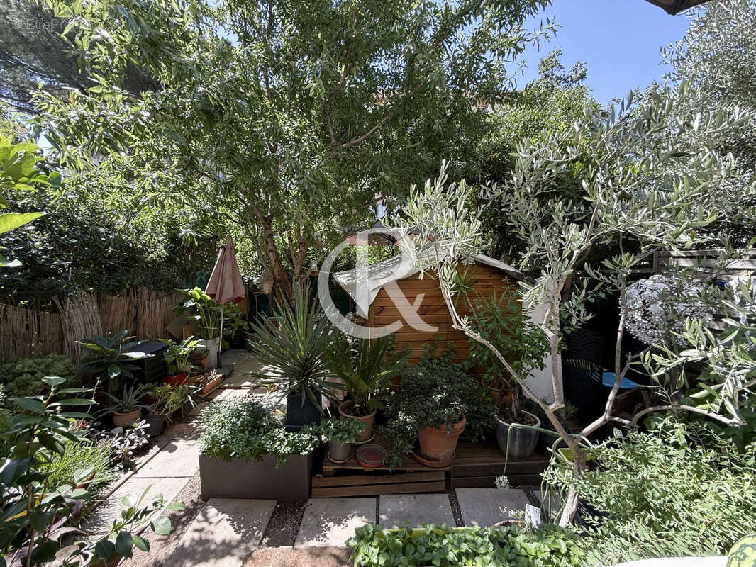  olbius riquier - t1 en rez de jardin - photo 2