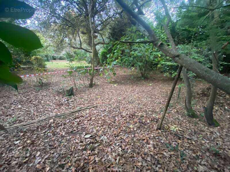 Terrain à SAINT-PIERRE-DU-MONT