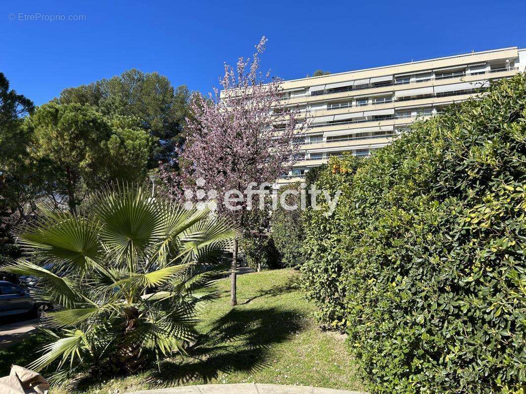 Appartement à MARSEILLE-8E