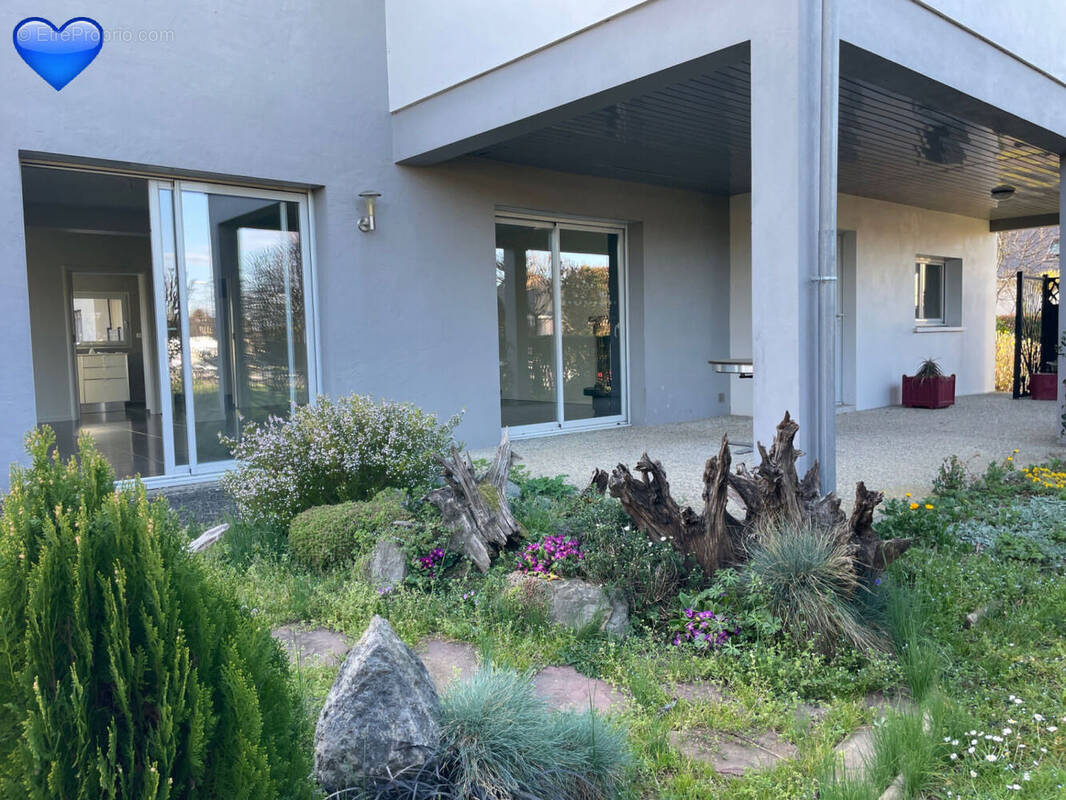 IMG_8390 - Maison à OLORON-SAINTE-MARIE