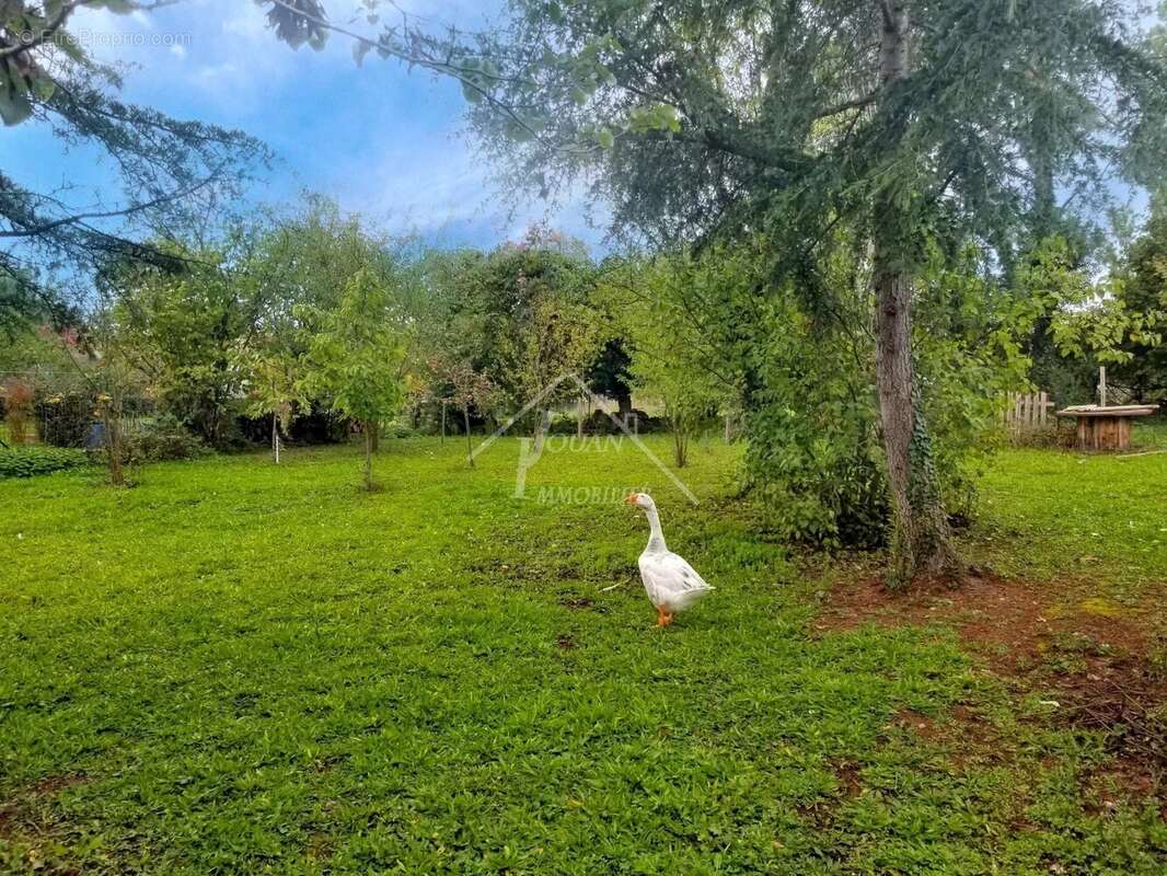 Maison à LUNEL-VIEL