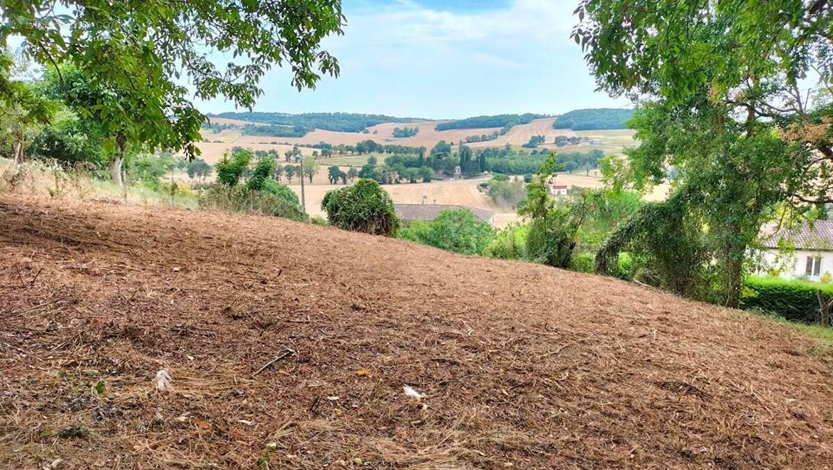 Terrain constructible Puycasquier(32120) 603m² - photo 5