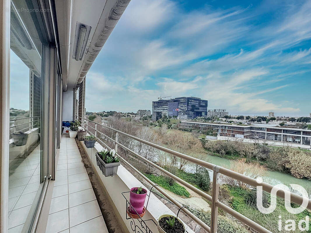 Photo 6 - Appartement à MONTPELLIER