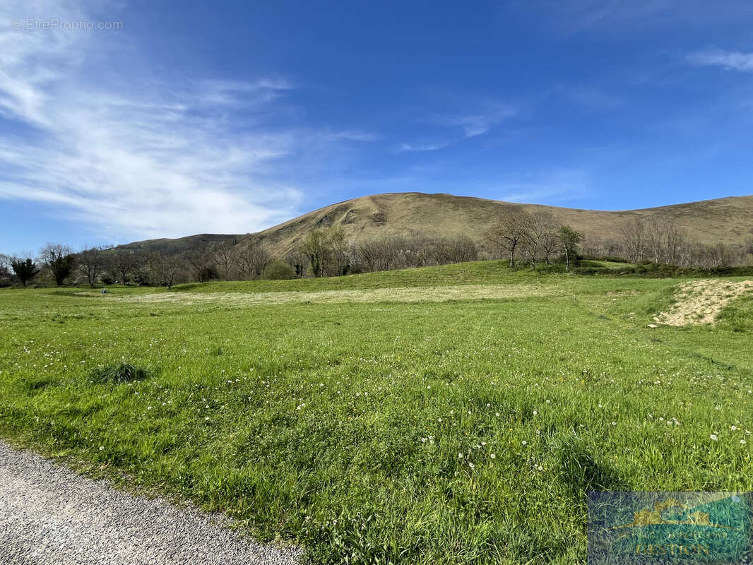 Terrain à CHEUST