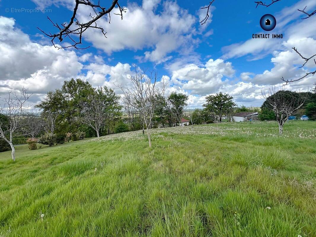 Terrain à LARCHE