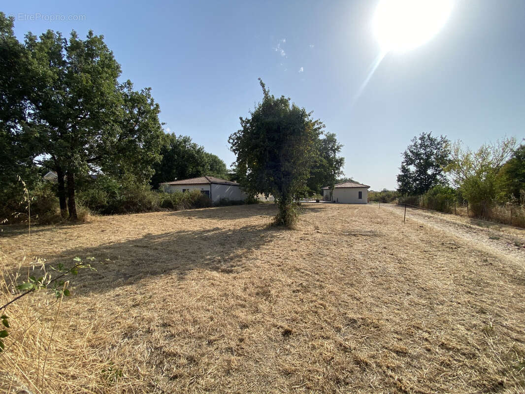 Terrain constructible à vendre   Larra (31)   1 066 m2 - photo 6