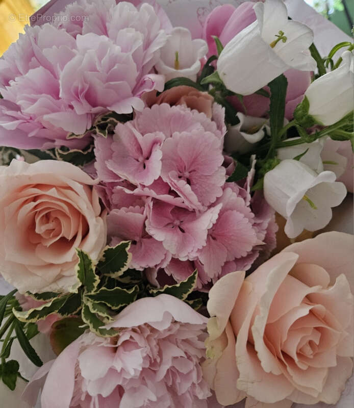 Commerce à TOURNON-SUR-RHONE