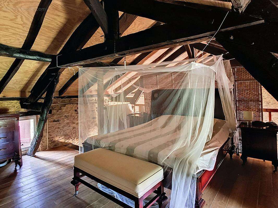 Maison à LE BUISSON-DE-CADOUIN