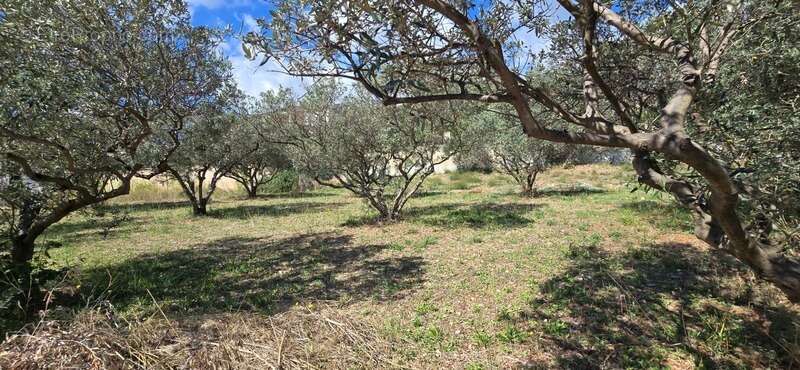 Terrain à LA VALETTE-DU-VAR