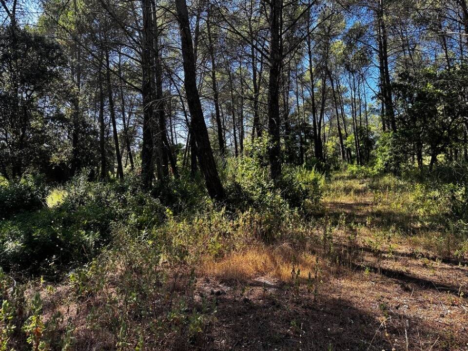 Terrain à FREJUS