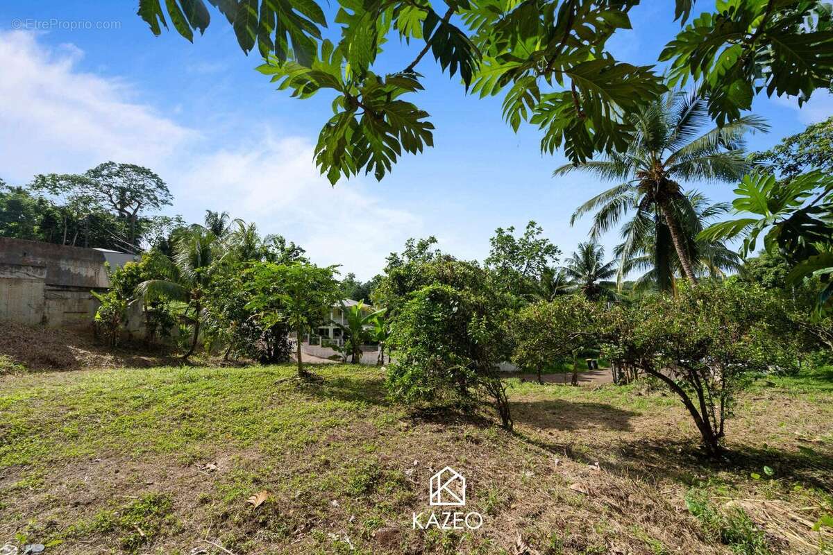 Terrain à LE LAMENTIN