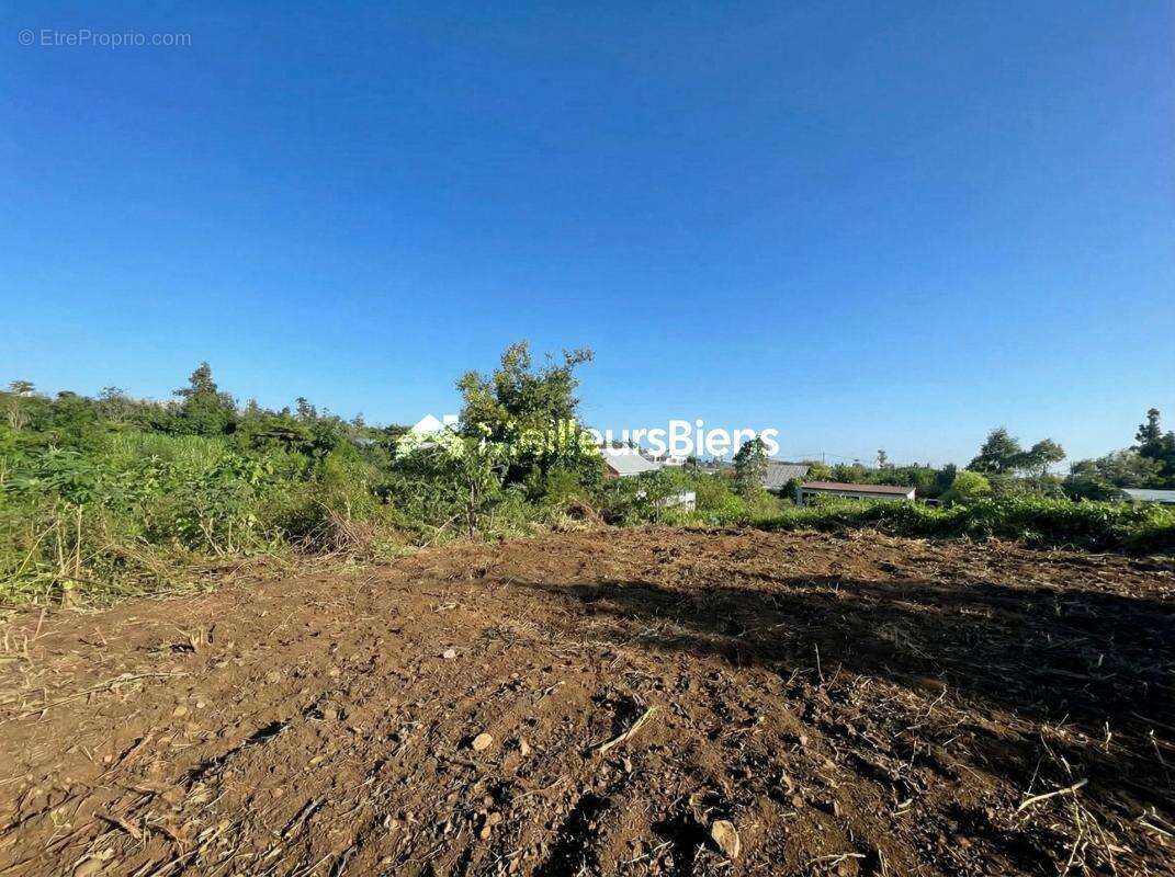 Terrain à SAINT-JOSEPH