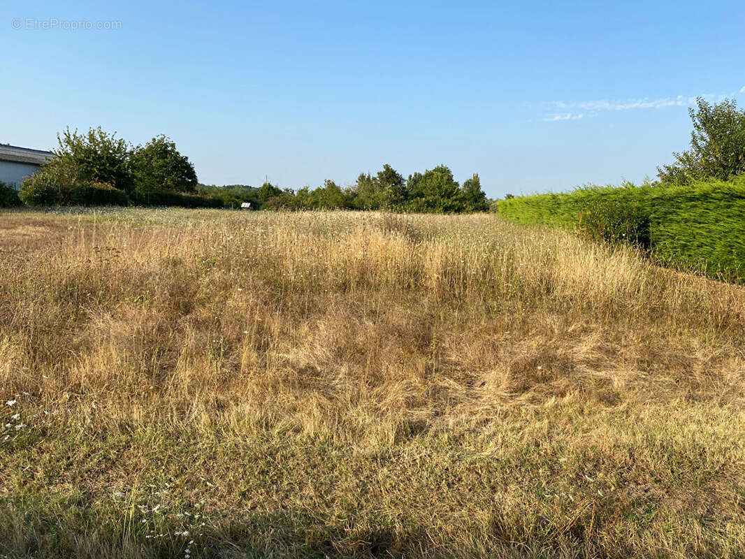 Terrain à bâtir à CHOUSSY 41700 - photo 2