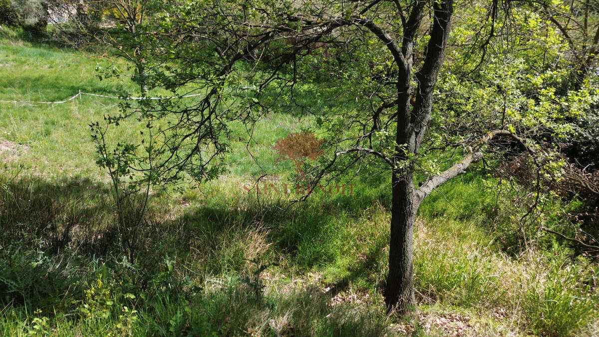 Terrain à PUILACHER