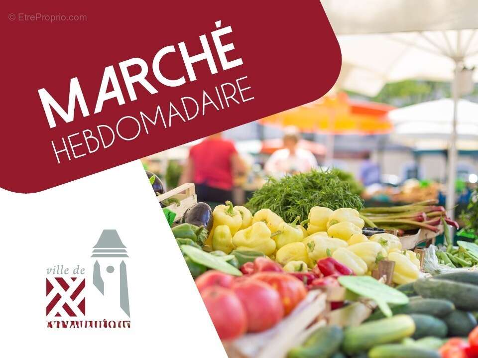 Terrain à PONT-L&#039;EVEQUE